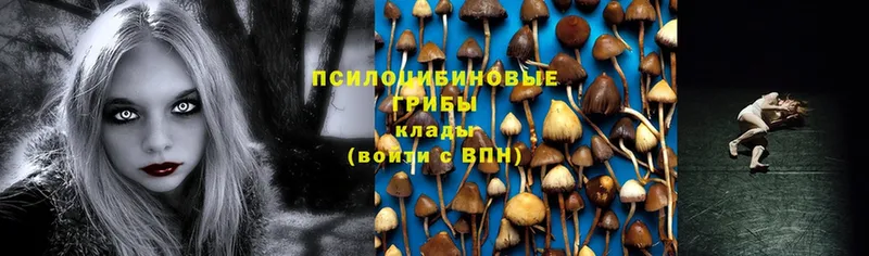 Псилоцибиновые грибы Magic Shrooms  мега ONION  Электросталь 